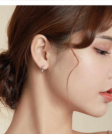 bamoer Authentic 925 Sterling Silver Simple Zircon Earrings Stud for Women and Men Silver 925 Fashion silver Jewelry SCE980